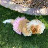 Pink Pom Pom Dog Tutu Skirt (XS)