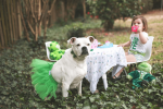 Green Christmas Dog Tutu Skirt (XXXL)