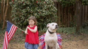 Red/White/Blue 4th Of July Dog Tutu Skirt Medium)