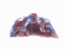 Red/White/Blue 4th Of July Dog Tutu Skirt (XXXL)