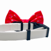 Cutie Ties Dog Bow Tie