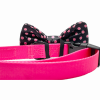 Cutie Ties Dog Bow Tie