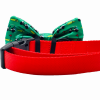 Cutie Ties Dog Bow Tie