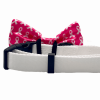 Cutie Ties Dog Bow Tie