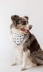 Buddy Dog Bandana (Color: Classic Dots, size: S)