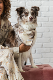 Buddy Dog Bandana (Color: Maple, size: S)