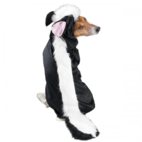 CC Lil' Stinker Costume (size: XS)