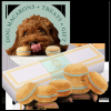 Dog Macarons - Box of 6 (Available in 12 Flavors)