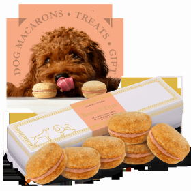 Dog Macarons - Box of 6 (Available in 12 Flavors) (Base Recipe: Oat Flour, Honey, Coconut Oil. All-Natural Pumpkin Yogurt Filling)