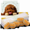 Dog Macarons - Box of 6 (Available in 12 Flavors)