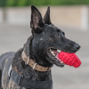 USA-K9 Grenade Durable Rubber Chew Toy & Treat Dispenser