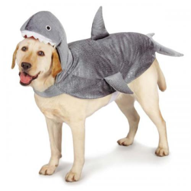 CC Shark Costume (size: small)