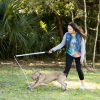 Flirt Pole V2 Dog Toy with Lure