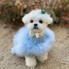 Autumn And Winter Sweater Jarre Aero Bull VIP Dogs And Cats Pet Clothes (Option: Blue-M)