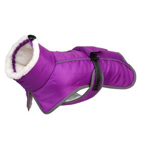 Winter Large Dog Golden Retriever Jarre Aero Bull Corgi Puppy Clothes Warm (Option: Purple-M)